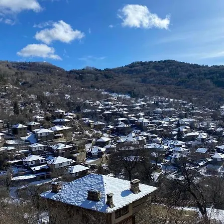 Владимировата Къща Ковачевица *