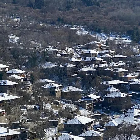 Владимировата Къща Ковачевица